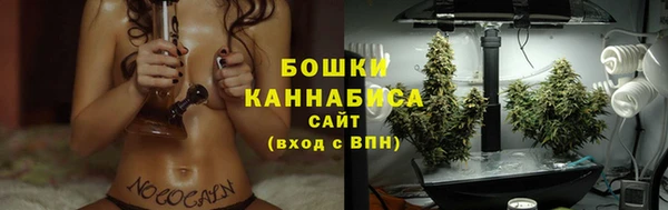 apvp Новозыбков