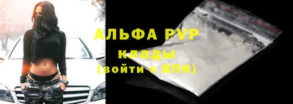 apvp Новозыбков