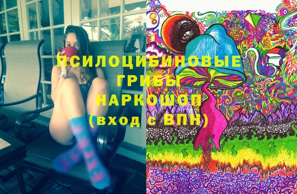 apvp Новозыбков
