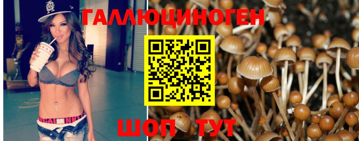 Псилоцибиновые грибы Magic Shrooms  Вход с VPN  Аша 